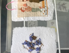 Agrandir l'image, .PNG 451,9 Ko (fenêtre modale)